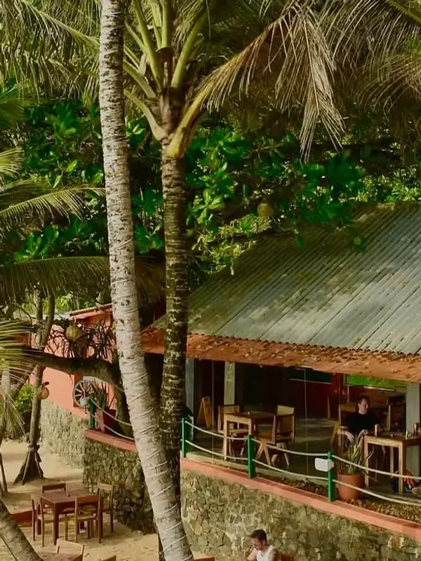 Kabala's terraces seen from above through coconut palms: wooden tables on the sand and more tables under a corrugated roof
